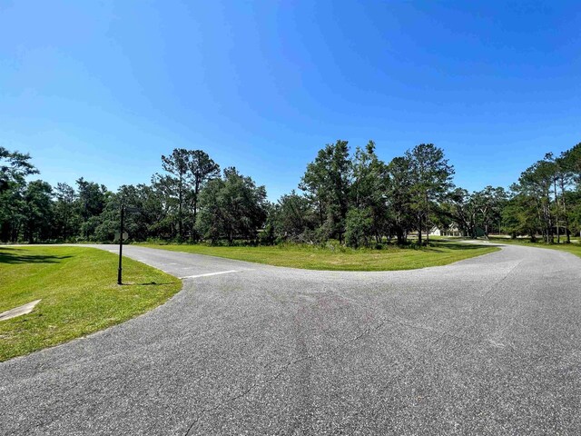 00 NE Oakwood Way, Pinetta Madison County, FL 32350