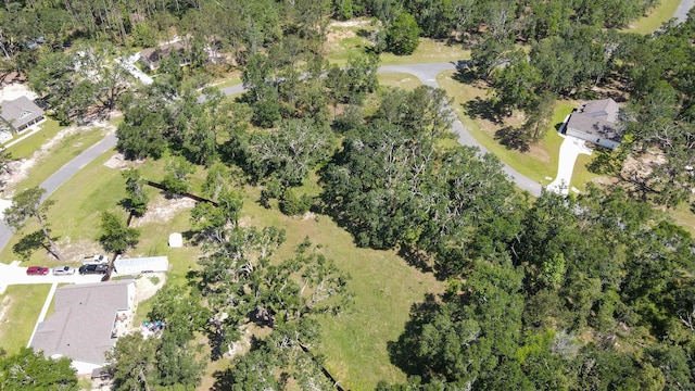 00 NE Oakwood Way, Pinetta Madison County, FL 32350