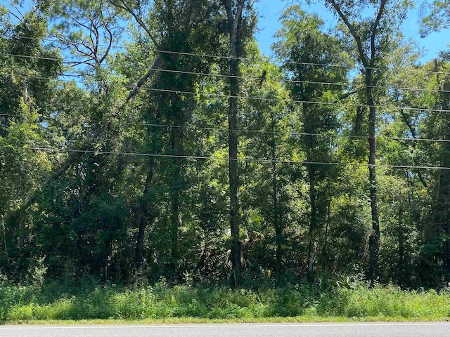 XX Woodville Highway, Crawfordville FL, 32327 land for sale