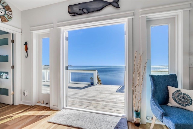 entryway with wood-type flooring and a water view