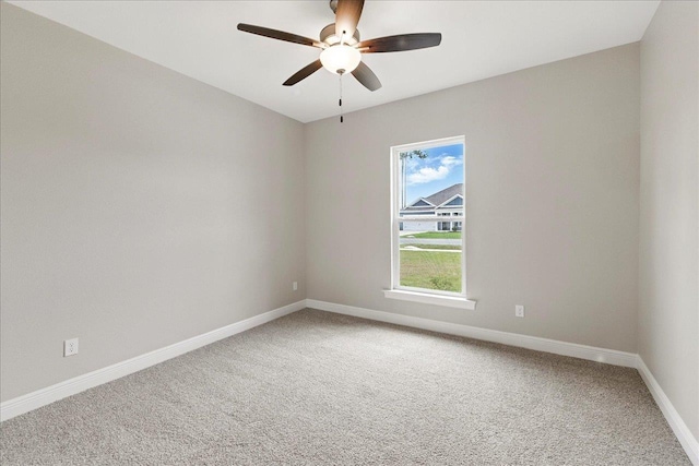 273 Stillmont Dr, Crawfordville, FL 32327 - photo 29