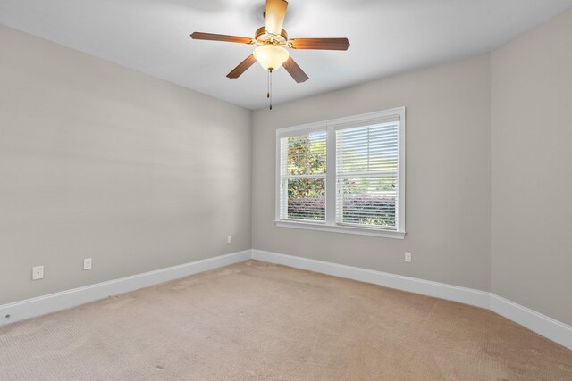 2796 Palafox Ln, Tallahassee, FL 32312 - photo 16