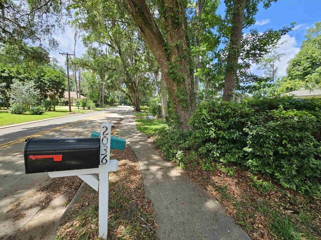 2036 Trescott Dr, Tallahassee, FL 32308 - photo 4