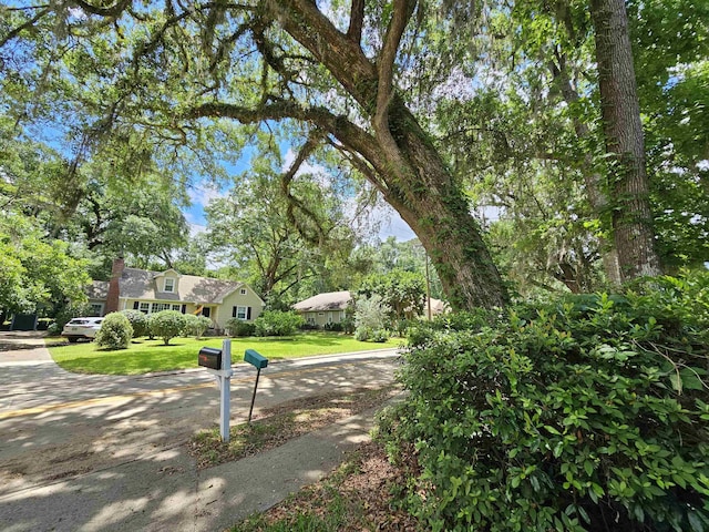 2036 Trescott Dr, Tallahassee, FL 32308 - photo 39