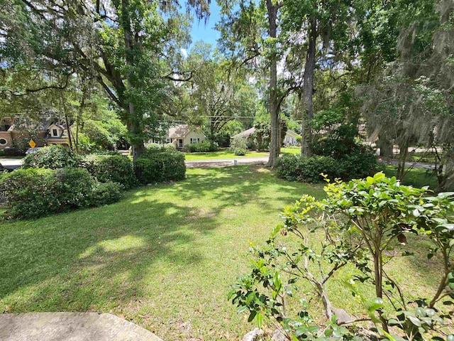 2036 Trescott Dr, Tallahassee, FL 32308 - photo 7