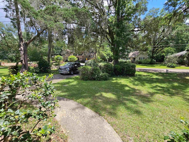 2036 Trescott Dr, Tallahassee, FL 32308 - photo 37
