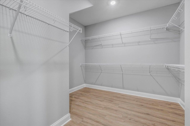 walk in closet featuring wood finished floors
