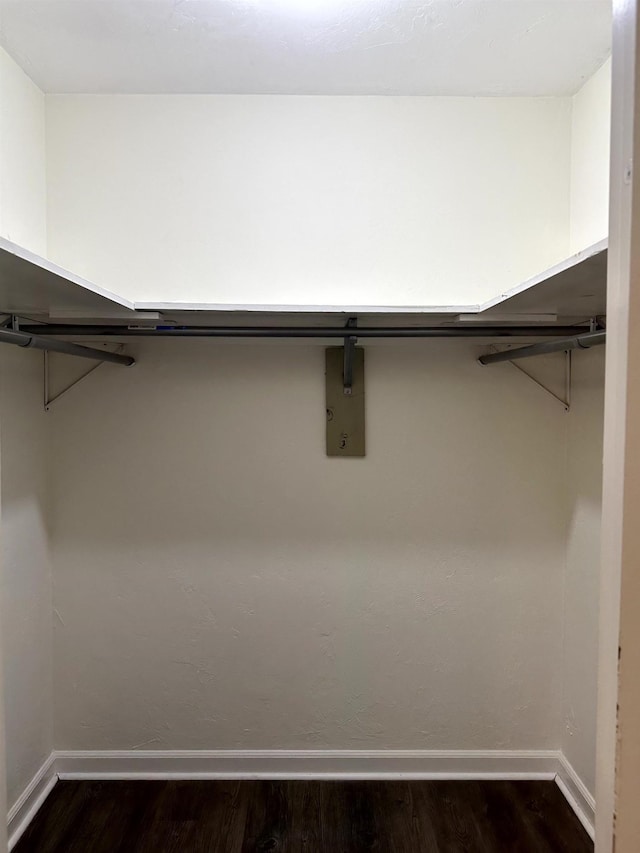 2305 Carrick Ct, Tallahassee, FL 32309 - walk in closet featuring dark wood-style flooring