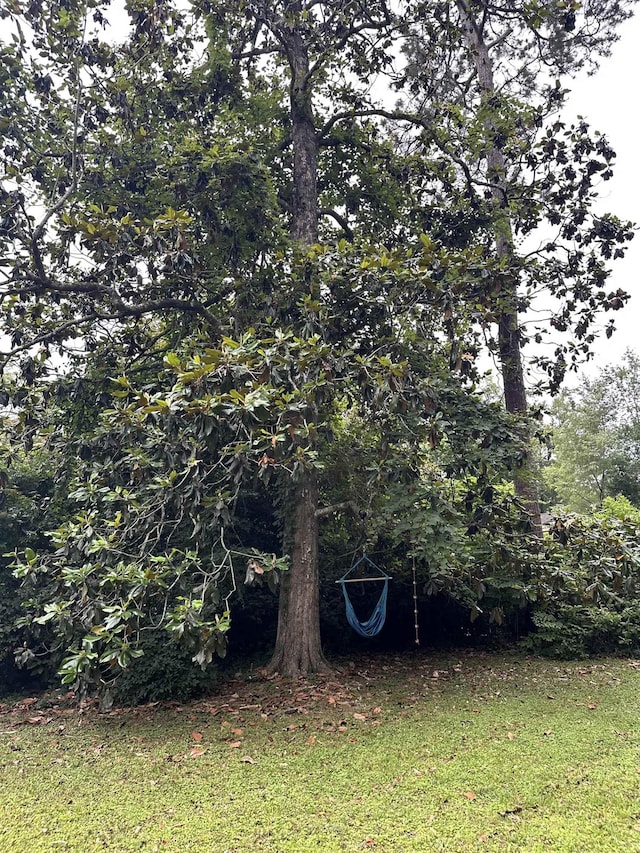 2305 Carrick Ct, Tallahassee, FL 32309 - view of grassy yard