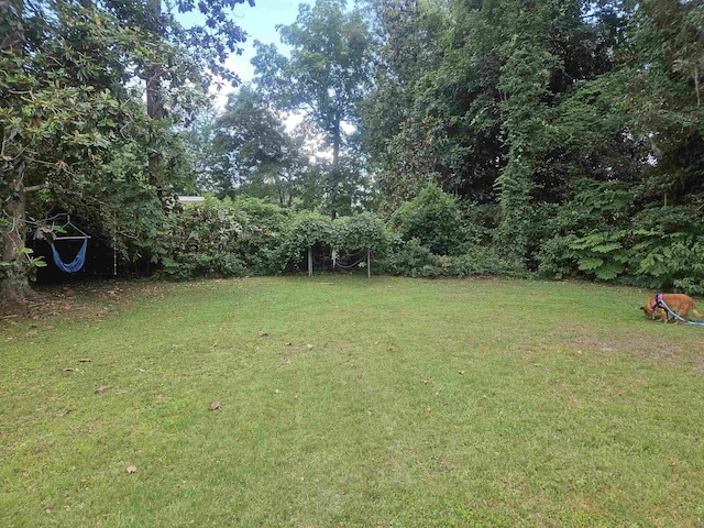 2305 Carrick Ct, Tallahassee, FL 32309 - view of green lawn