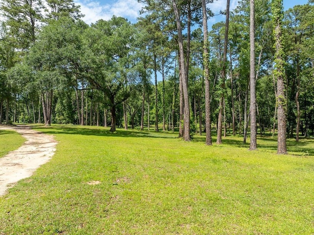 Gallant Fox Trl, Tallahassee, FL 32309