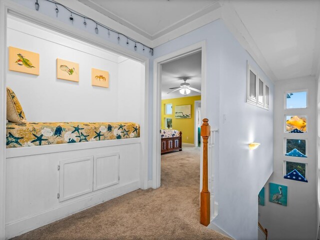 641 Bald Point Rd, Alligator Point, FL 32346 - hallway featuring carpet flooring, an upstairs landing, and a wainscoted wall