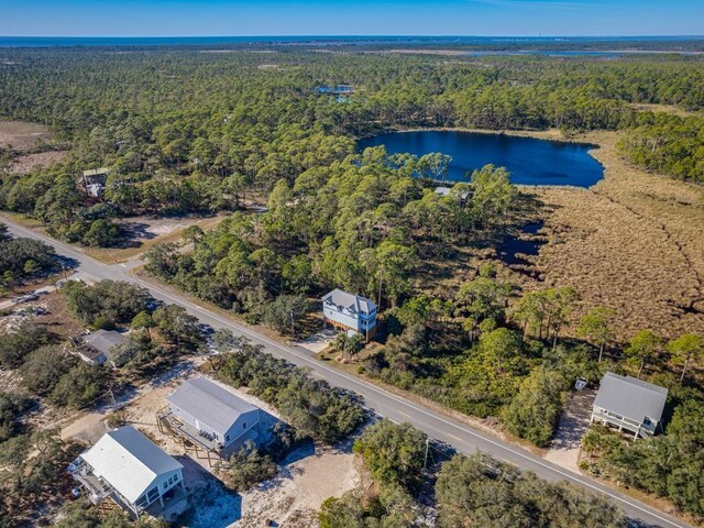 641 Bald Point Rd, Alligator Point, FL 32346 - aerial view of a heavily wooded area and a large body of water