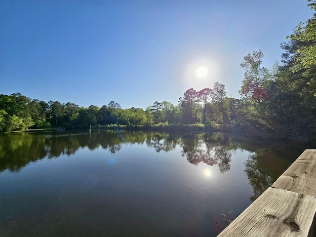 property view of water featuring a view of trees