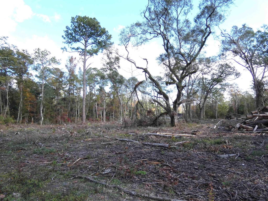 TBD Gamble Rd, Monticello, FL 32344 - photo 1