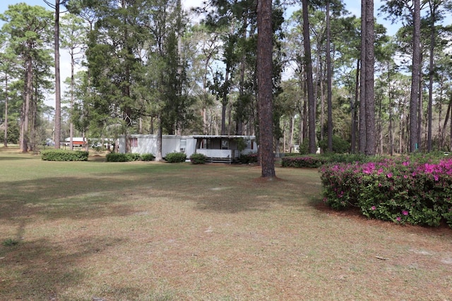 11350 Granny Ln, Tallahassee, FL 32305 - photo 51