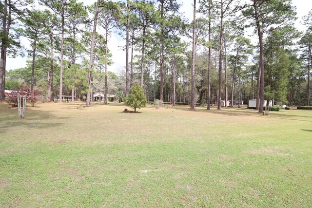 11350 Granny Ln, Tallahassee, FL 32305 - photo 54