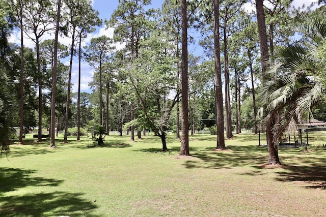 11350 Granny Ln, Tallahassee, FL 32305 - photo 13
