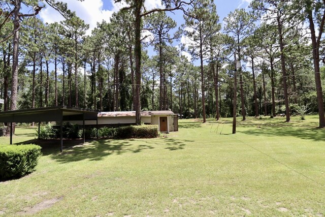11350 Granny Ln, Tallahassee, FL 32305 - photo 9