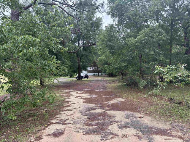 8401 Blountstown Hwy, Tallahassee, FL 32310 - photo 7