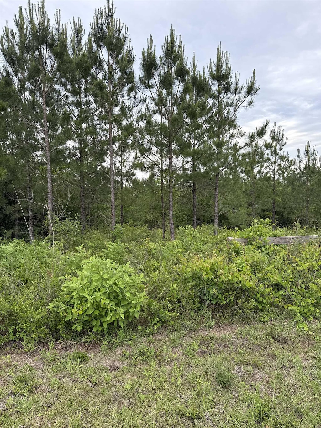 0000 NW Church Rd, Altha, FL 32421