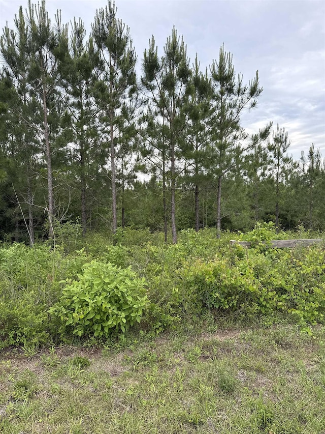 0000 NW Church Rd, Altha, FL 32421