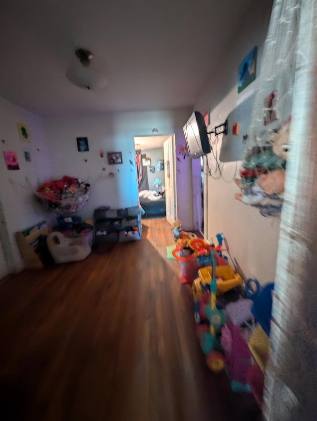 playroom featuring hardwood / wood-style floors