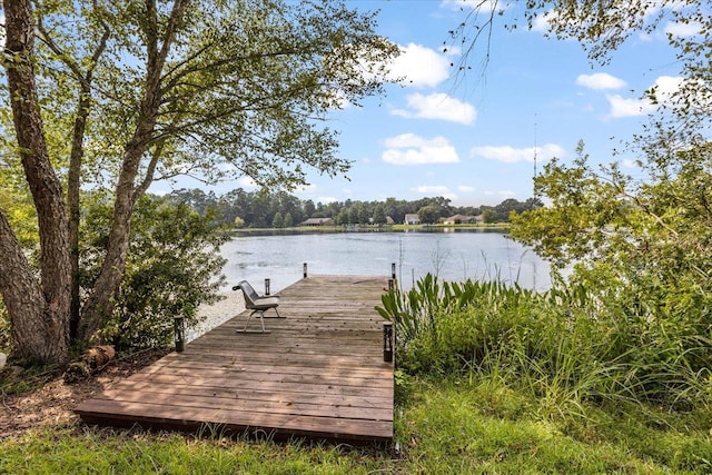 dock area featuring a water view