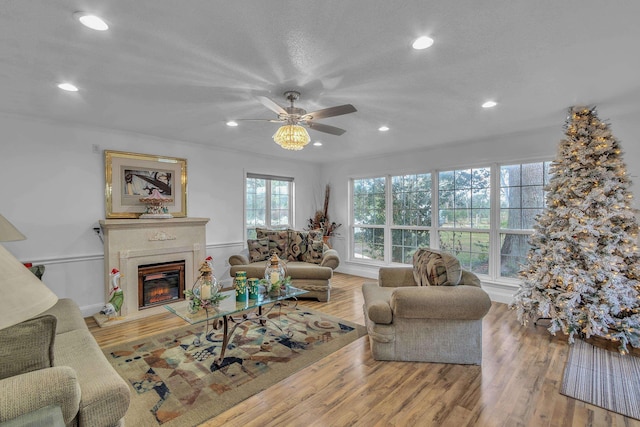 living room featuring ceiling fan and light hardwood / wood-style flooring