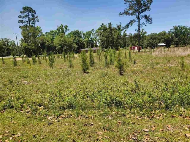 LOT9 SW Azalea St, Bristol FL, 32321 land for sale