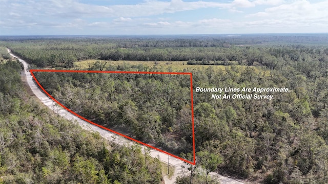 Vacant Se Trading Post Loop, Lee FL, 32059 land for sale