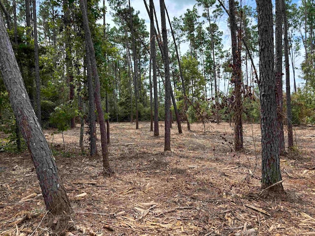 Listing photo 3 for TBDLOT38 Northwood Dr, Marianna FL 32448