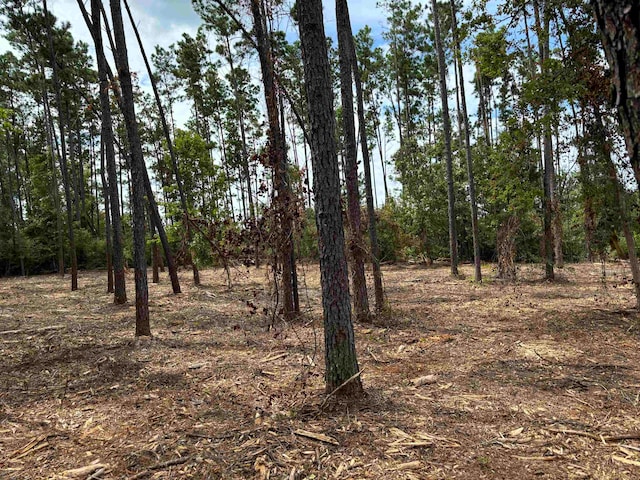 Listing photo 2 for TBDLOT38 Northwood Dr, Marianna FL 32448