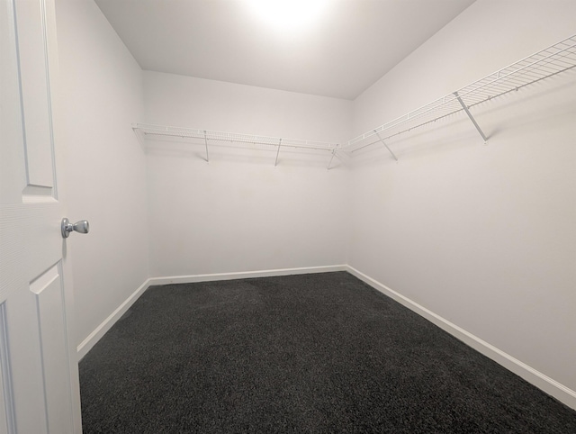 4005 Clematis Ct, Tallahassee, FL 32305 - photo 14