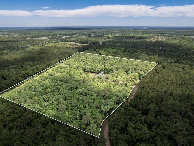 883 Hunters Trce, Crawfordville, FL 32327 - view of property location with a forest and property parcel outlined