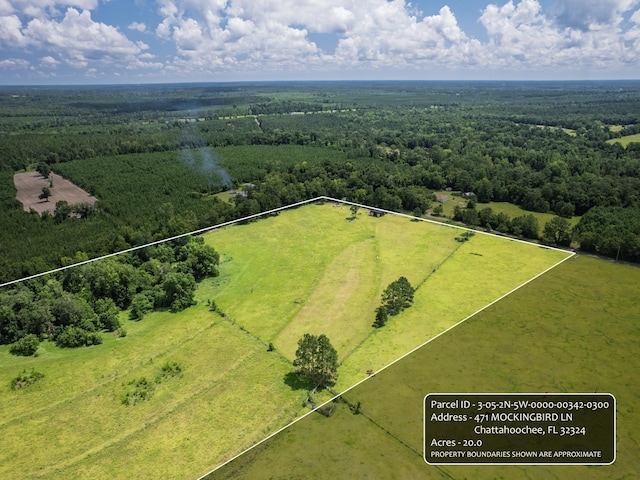 471 Mockingbird Ln, Chattahoochee, FL 32324 - photo 6