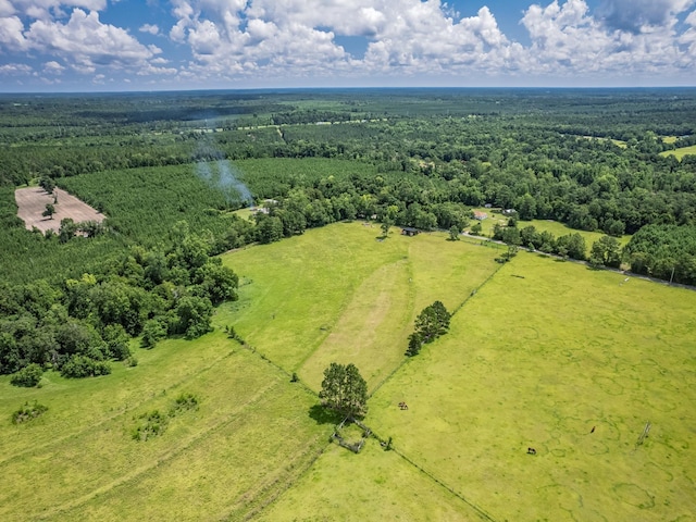 471 Mockingbird Ln, Chattahoochee, FL 32324 - photo 7