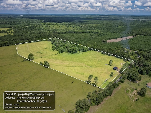 471 Mockingbird Ln, Chattahoochee, FL 32324 - photo 9