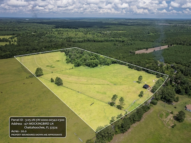 471 Mockingbird Ln, Chattahoochee, FL 32324 - photo 4
