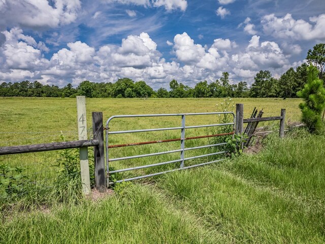 471 Mockingbird Ln, Chattahoochee, FL 32324 - photo 11