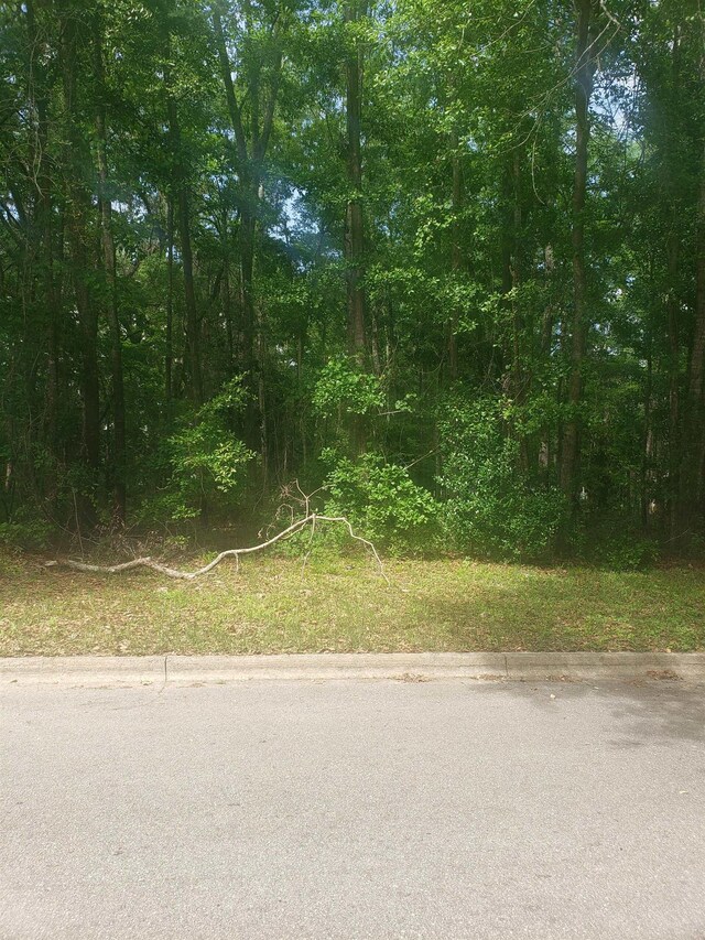 Thomas Rd, Tallahassee, FL 32312 - photo 3