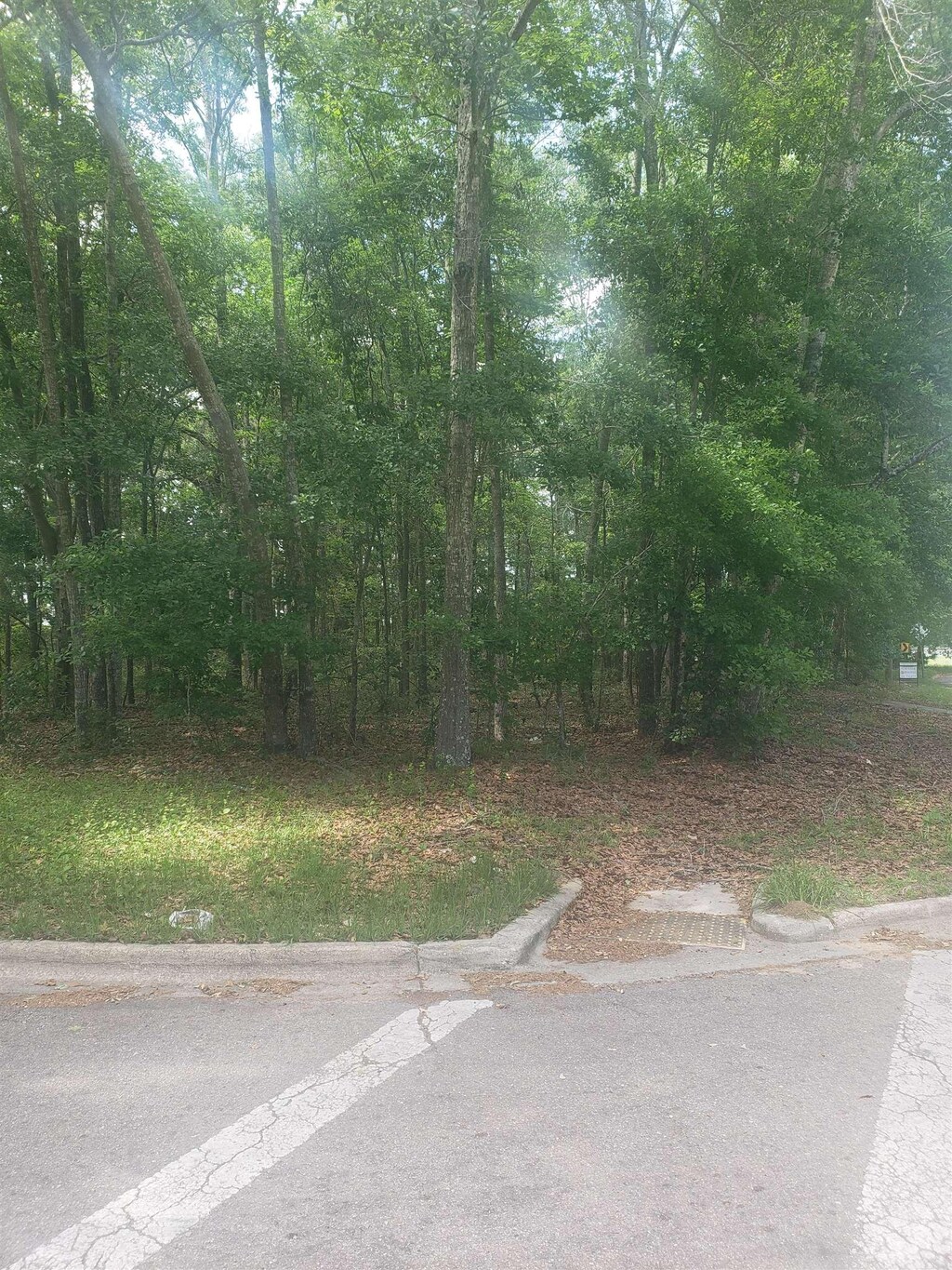 Thomas Rd, Tallahassee, FL 32312 - photo 2