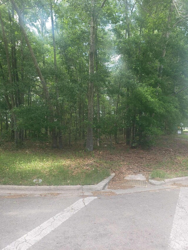 Thomas Rd, Tallahassee, FL 32312 - photo 2