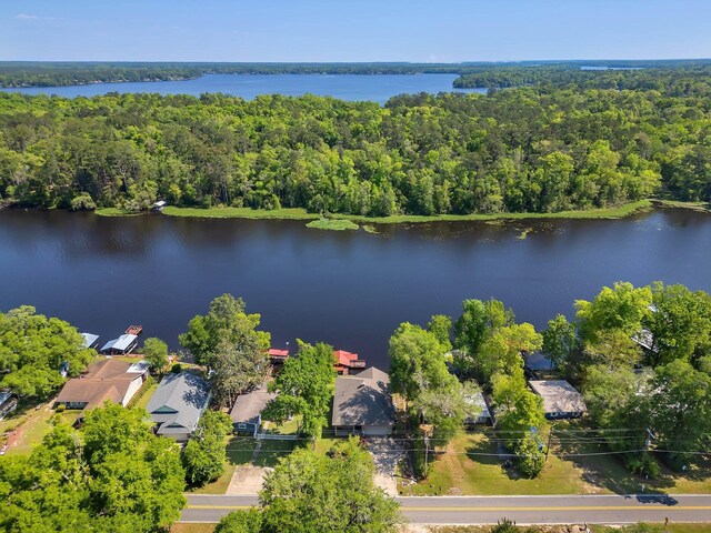 24064 Lanier St, Tallahassee, FL 32310 - birds eye view of property with a water view and a view of trees