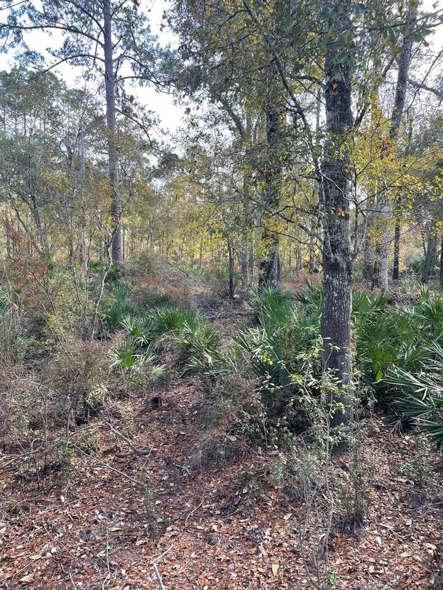 XX Kathy Ann Dr, Crawfordville, FL 32327 - photo 26