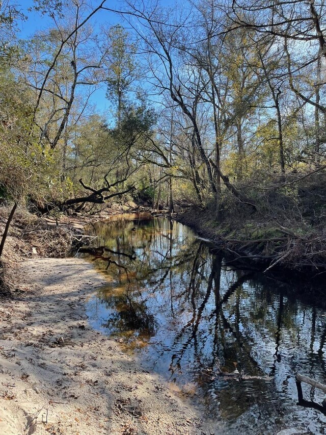 XX Kathy Ann Dr, Crawfordville, FL 32327 - photo 21