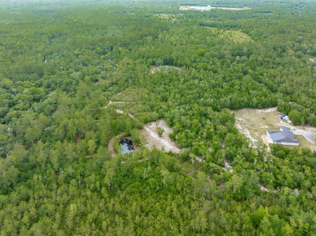 XX Kathy Ann Dr, Crawfordville, FL 32327 - photo 3