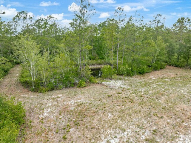 XX Kathy Ann Dr, Crawfordville, FL 32327 - photo 13