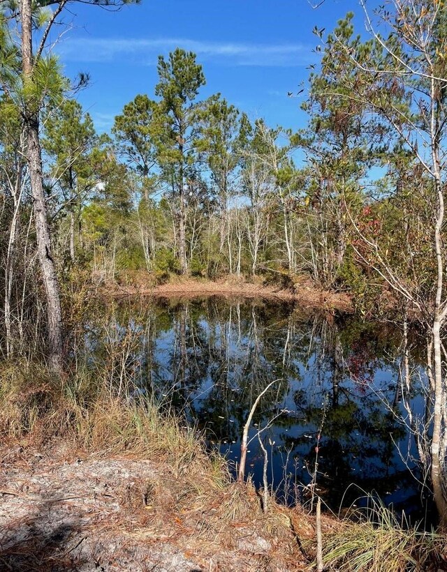 XX Kathy Ann Dr, Crawfordville, FL 32327 - photo 18