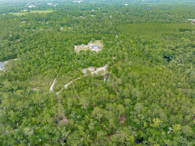 XX Kathy Ann Dr, Crawfordville, FL 32327 - photo 5